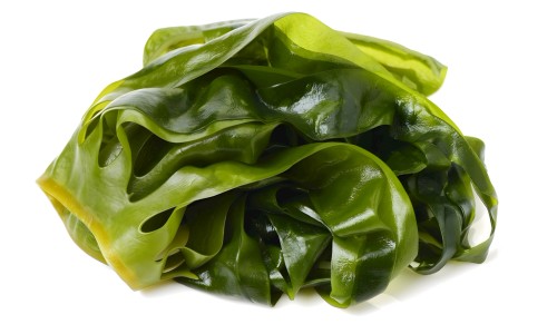 肺结核的最佳用药方案-肺结核治疗用药-肺结核治疗用药,中国肺结核联合用药吊瓶多久网站